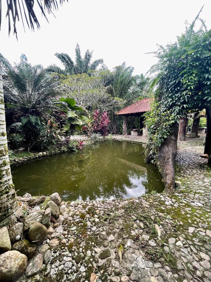 Sahom Valley Resort - Agro & Eco Park 金宝 外观 照片