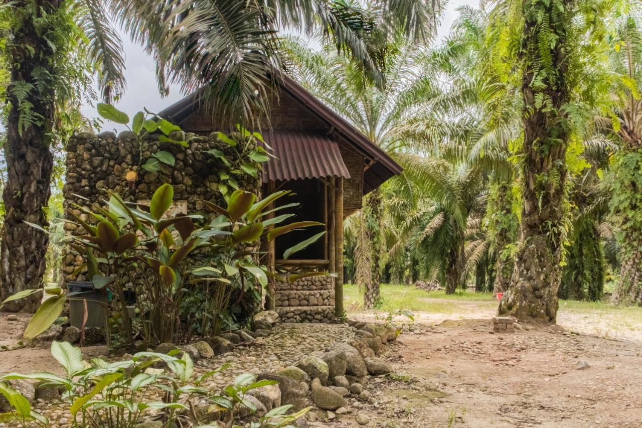 Sahom Valley Resort - Agro & Eco Park 金宝 外观 照片